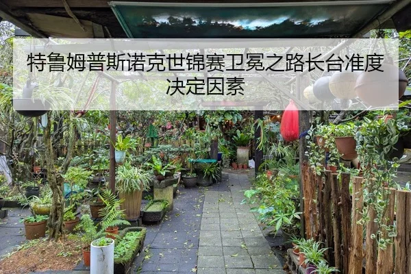 特鲁姆普斯诺克世锦赛卫冕之路长台准度决定因素